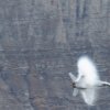 Aviation